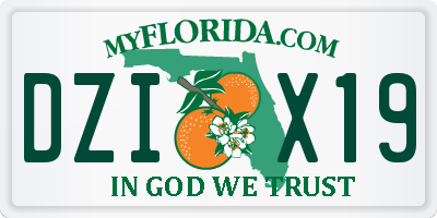 FL license plate DZIX19