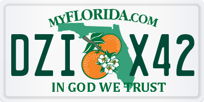 FL license plate DZIX42