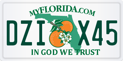 FL license plate DZIX45