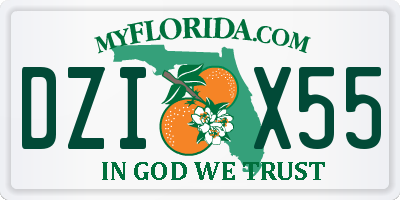 FL license plate DZIX55