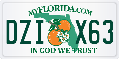 FL license plate DZIX63
