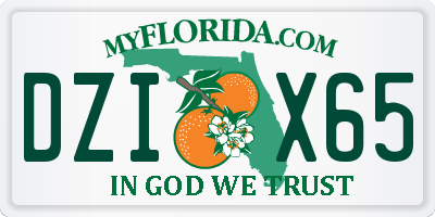 FL license plate DZIX65
