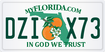 FL license plate DZIX73