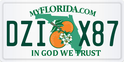 FL license plate DZIX87