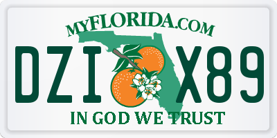 FL license plate DZIX89
