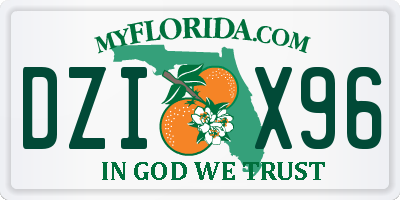 FL license plate DZIX96