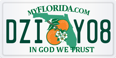 FL license plate DZIY08