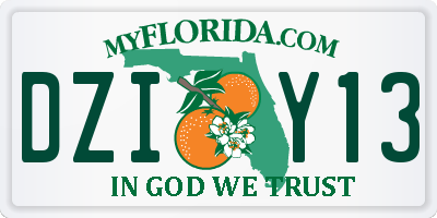 FL license plate DZIY13
