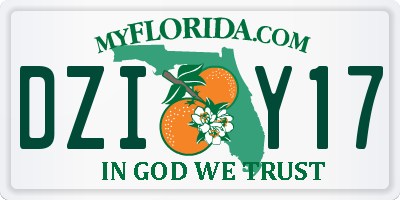 FL license plate DZIY17