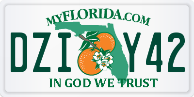 FL license plate DZIY42