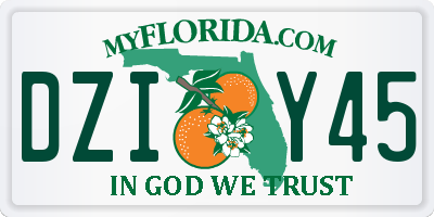 FL license plate DZIY45