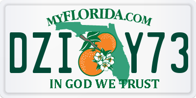 FL license plate DZIY73