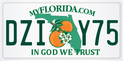 FL license plate DZIY75