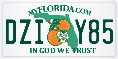 FL license plate DZIY85