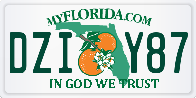 FL license plate DZIY87