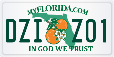 FL license plate DZIZ01