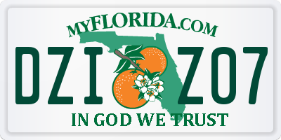 FL license plate DZIZ07