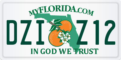 FL license plate DZIZ12