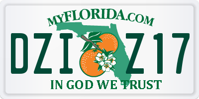 FL license plate DZIZ17
