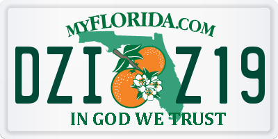FL license plate DZIZ19