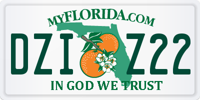 FL license plate DZIZ22