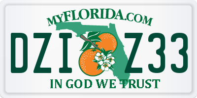 FL license plate DZIZ33
