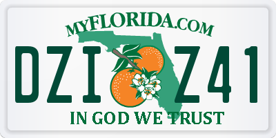 FL license plate DZIZ41