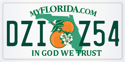 FL license plate DZIZ54