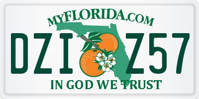 FL license plate DZIZ57