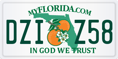 FL license plate DZIZ58