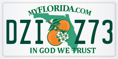 FL license plate DZIZ73
