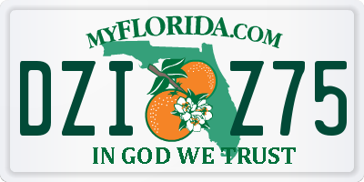 FL license plate DZIZ75