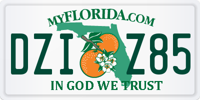 FL license plate DZIZ85