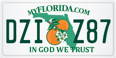 FL license plate DZIZ87