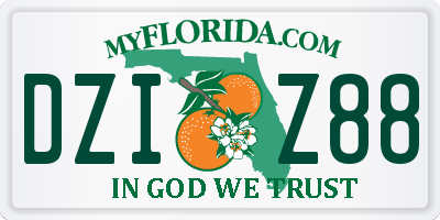FL license plate DZIZ88