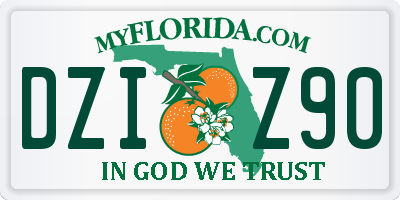 FL license plate DZIZ90