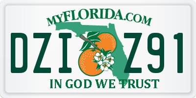 FL license plate DZIZ91