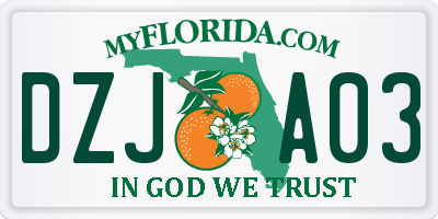 FL license plate DZJA03