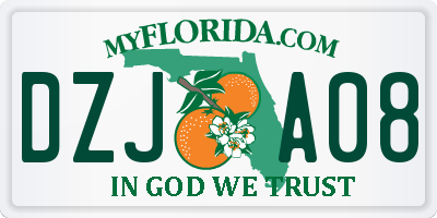 FL license plate DZJA08