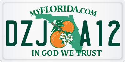 FL license plate DZJA12