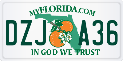 FL license plate DZJA36