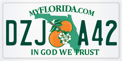 FL license plate DZJA42