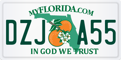 FL license plate DZJA55
