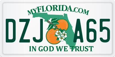 FL license plate DZJA65