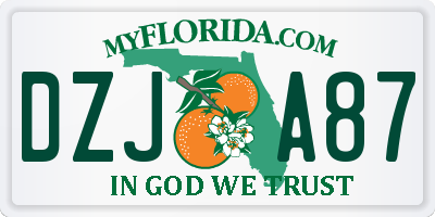 FL license plate DZJA87