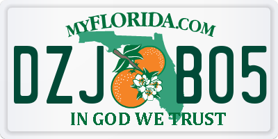 FL license plate DZJB05