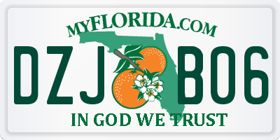 FL license plate DZJB06