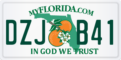 FL license plate DZJB41