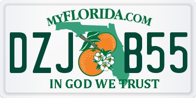 FL license plate DZJB55