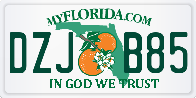 FL license plate DZJB85